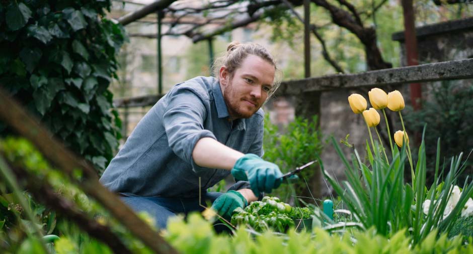 Man working in his outdoor garden